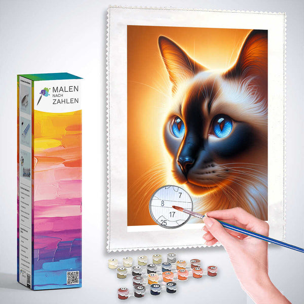 Malen nach Zahlen - Siamkatze