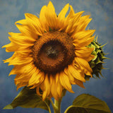 Malen nach Zahlen - Sonnentanz Sonnenblume, strahlende gelbe Blütenblätter, dunkler Kern, azurblauer Hintergrund, Wärme und Lebensfreude.
