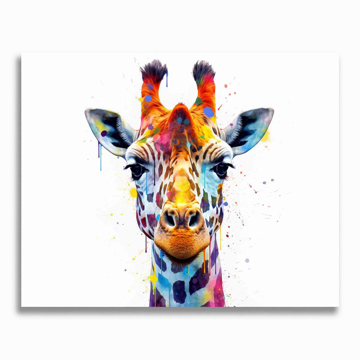 Malen nach Zahlen - Farbexplosion im Tierreich, Giraffe