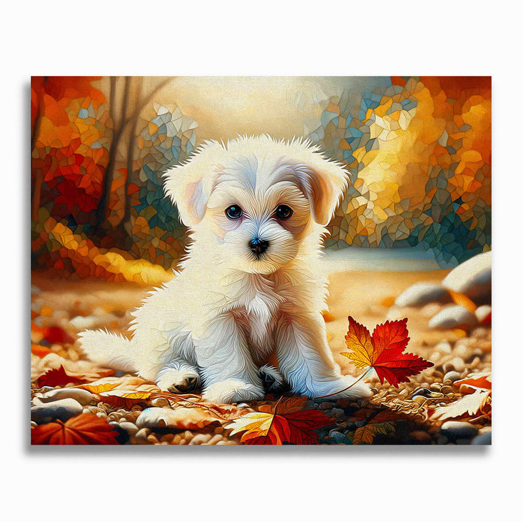 kleiner, weißer Hund – Malen nach Zahlen