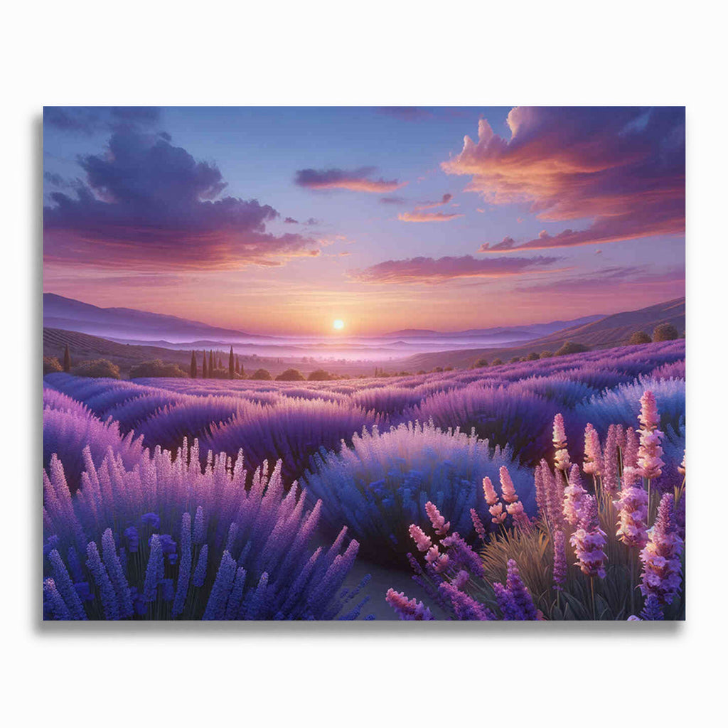 Lavendel Feld – Malen nach Zahlen
