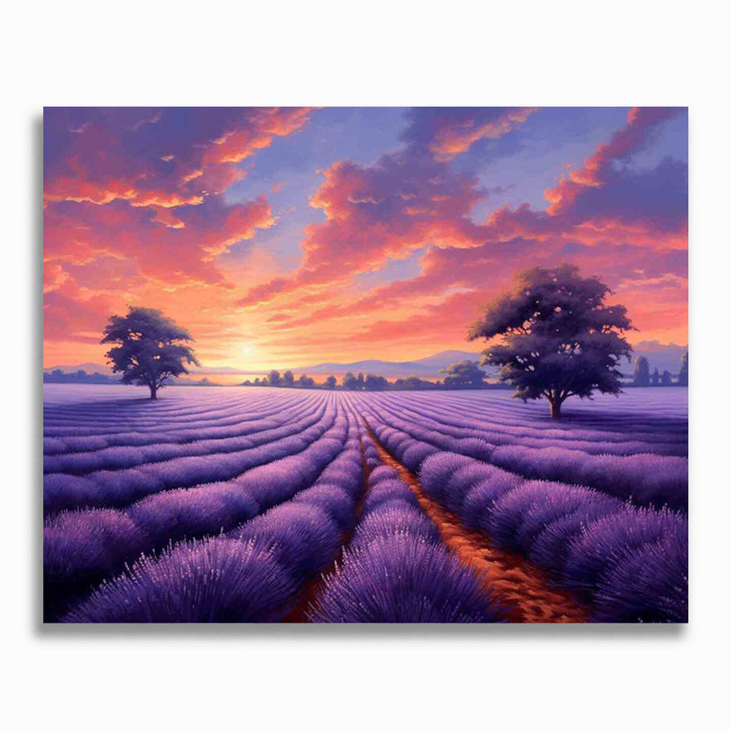 Malen nach Zahlen - Lavendeltraum am Horizont