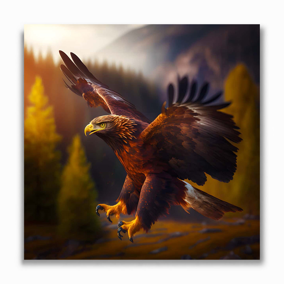 Malen nach Zahlen - Adler seitlich
