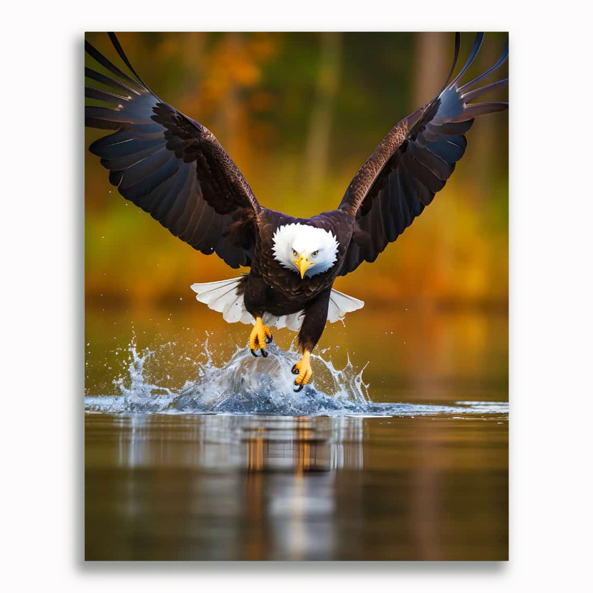 Malen nach Zahlen - Adler startet