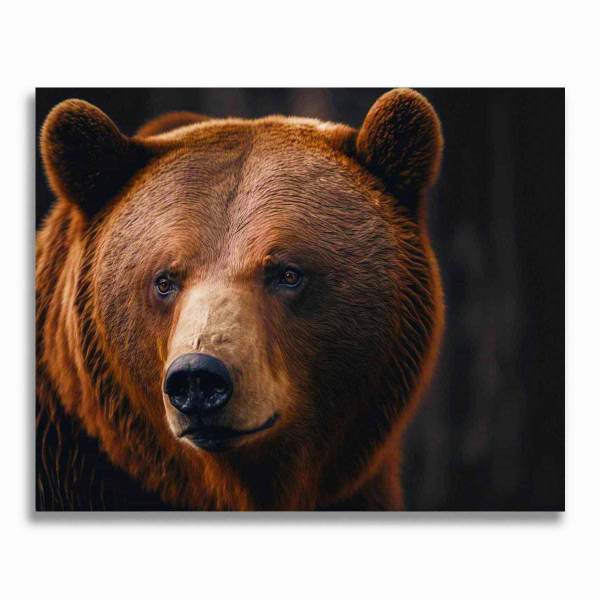 Malen nach Zahlen - Braunbär Portrait