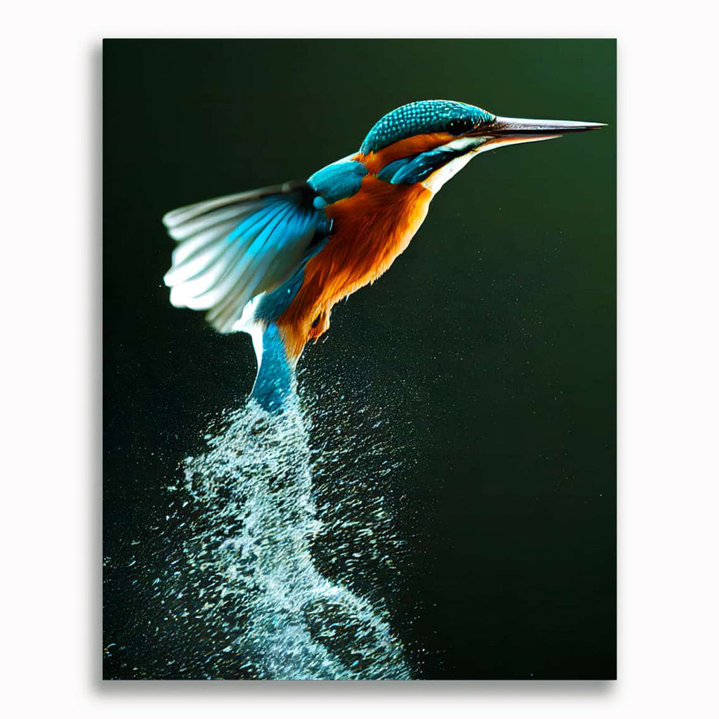 Malen nach Zahlen - Eisvogel aus dem Wasser