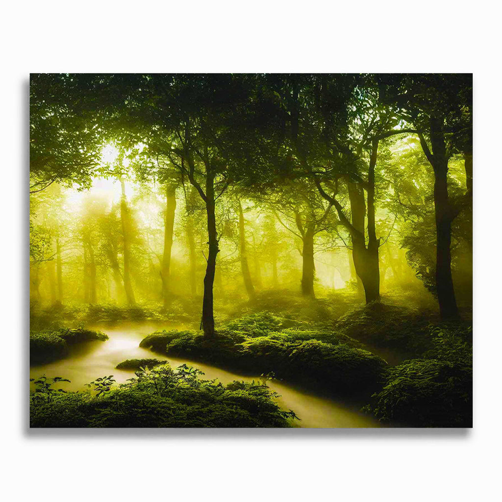 Malen nach Zahlen - Fluss im Grünen Wald