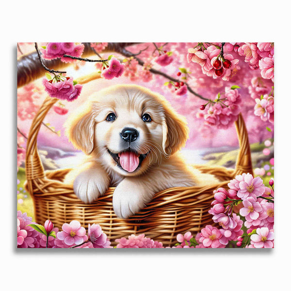 Malen nach Zahlen - Goldenretriverwelpe, rosa