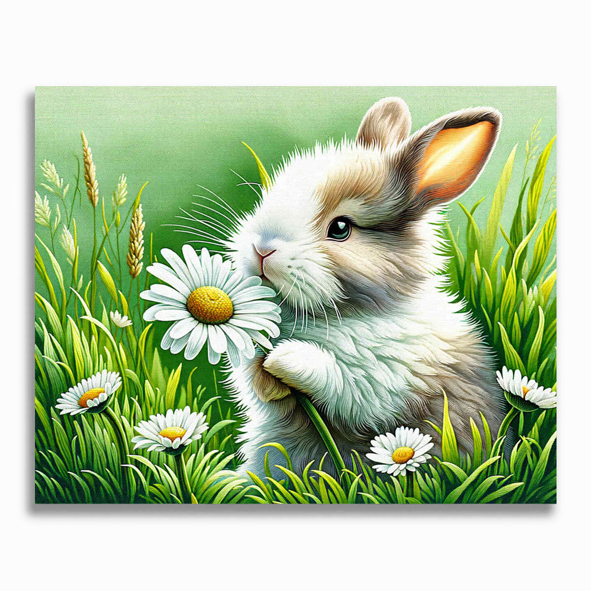 Malen nach Zahlen - Hase hält Gänseblümchen