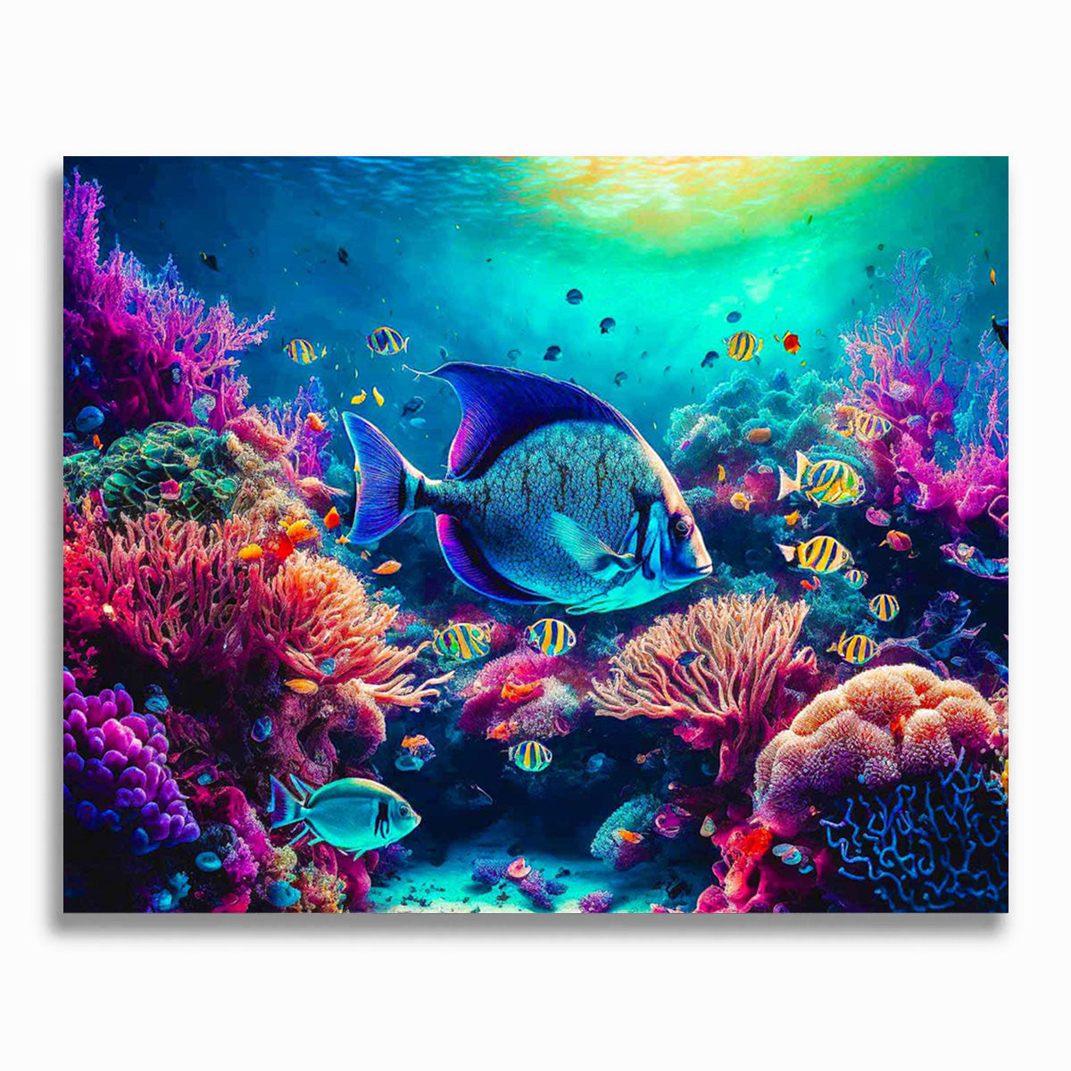 Malen nach Zahlen - Korallen und Fische, Meeresleben