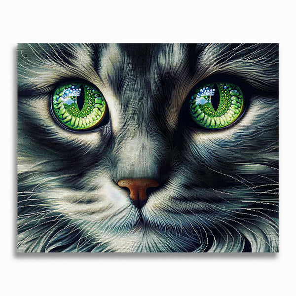 Malen nach Zahlen - Magischer Katzen Blick