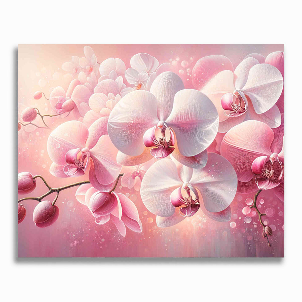 Malen nach Zahlen - Pink und Weiße Orchideen