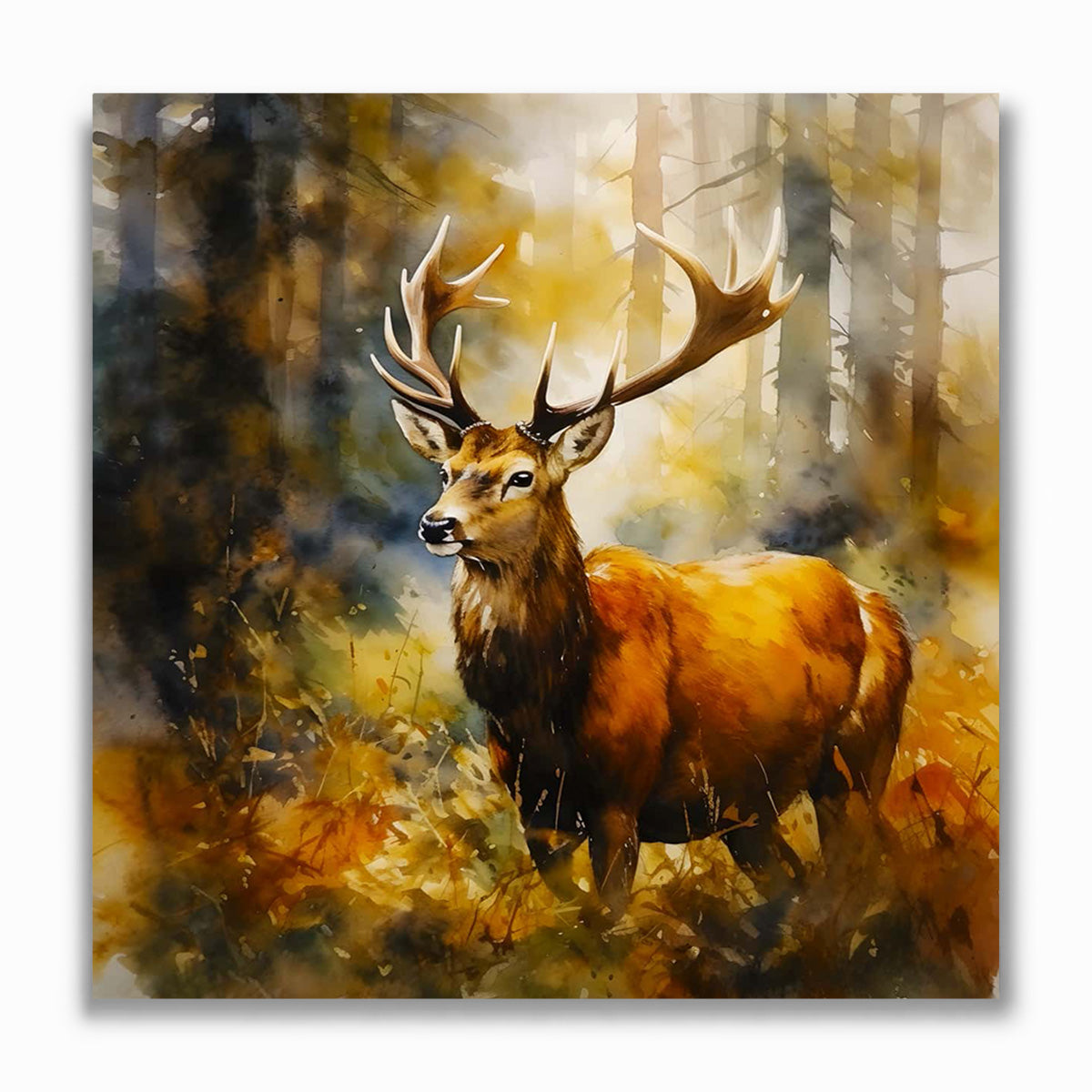 Malen nach Zahlen - Prachtvoller Hirsch im Wald