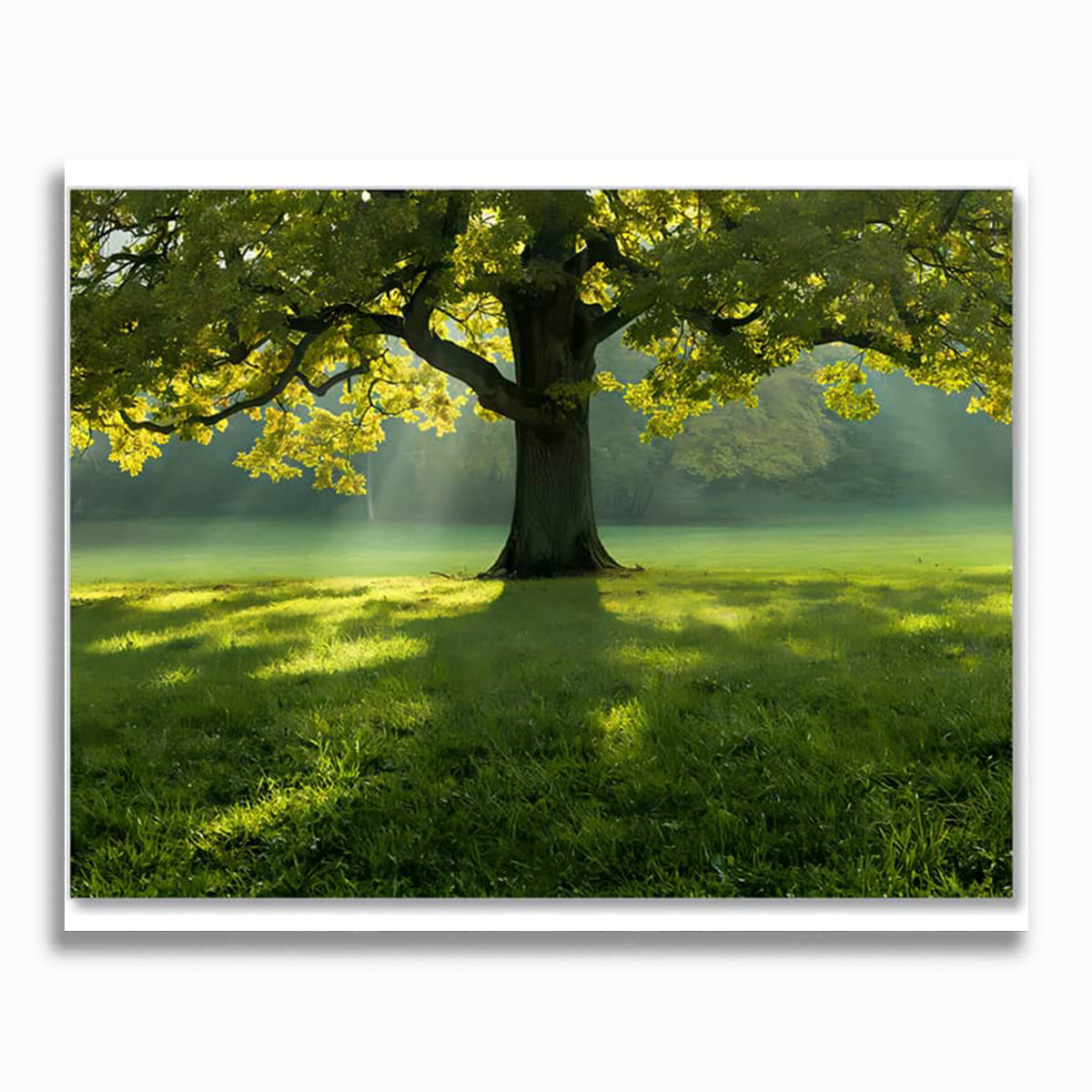 Malen nach Zahlen - Prachtvolles Grün