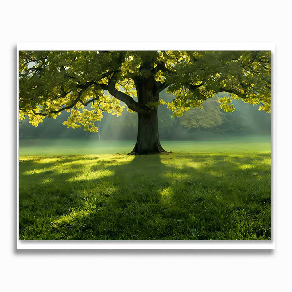 Malen nach Zahlen - Prachtvolles Grün