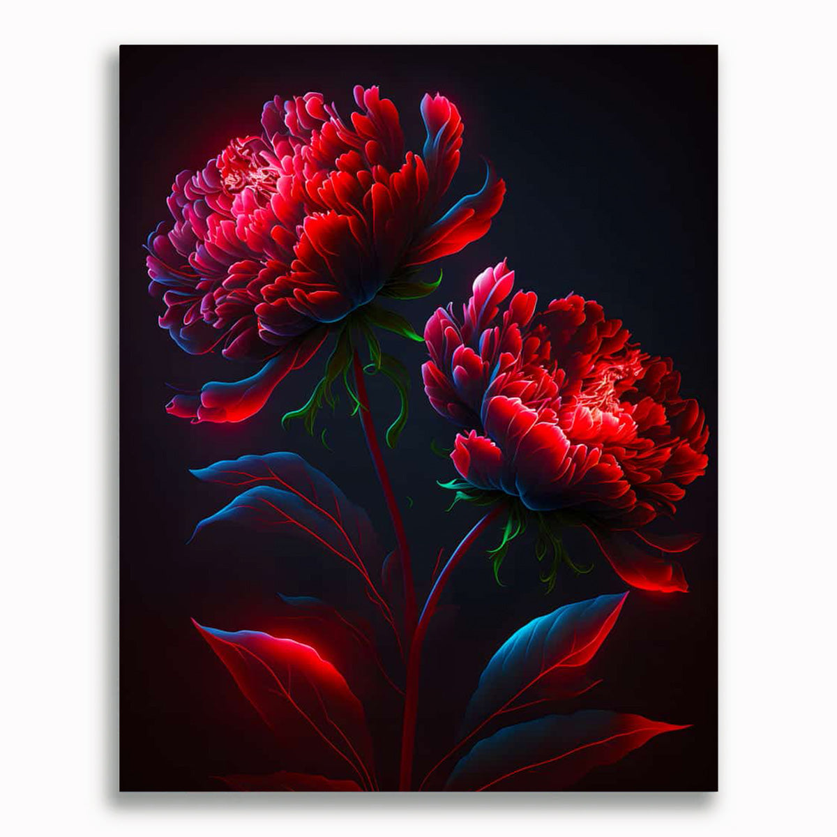 Malen nach Zahlen - Rosen in der Nacht