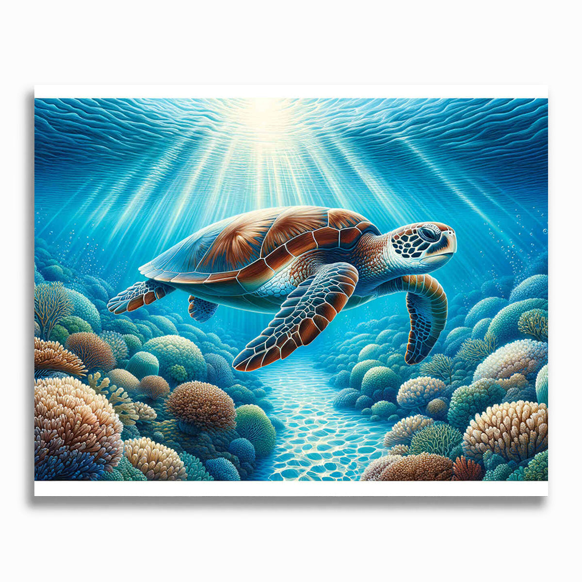 Malen nach Zahlen - Schildkröte im Meer