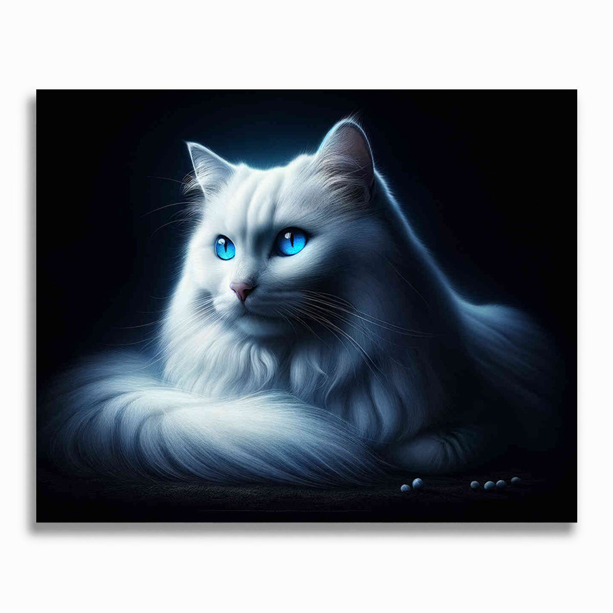 Malen nach Zahlen - Weiße Katze