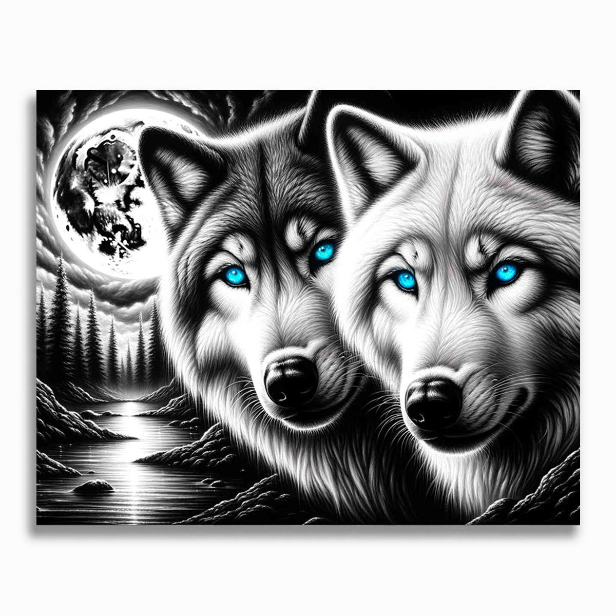 Malen nach Zahlen - Wolfspaar, Schwarz und weiß