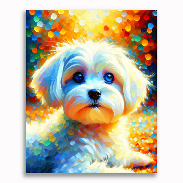 Malteser, Weißer Hund – Malen nach Zahlen