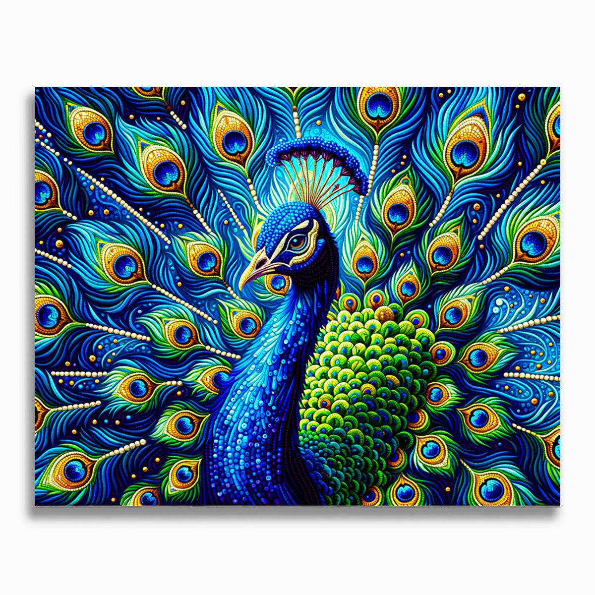Pfau - Malen nach Zahlen