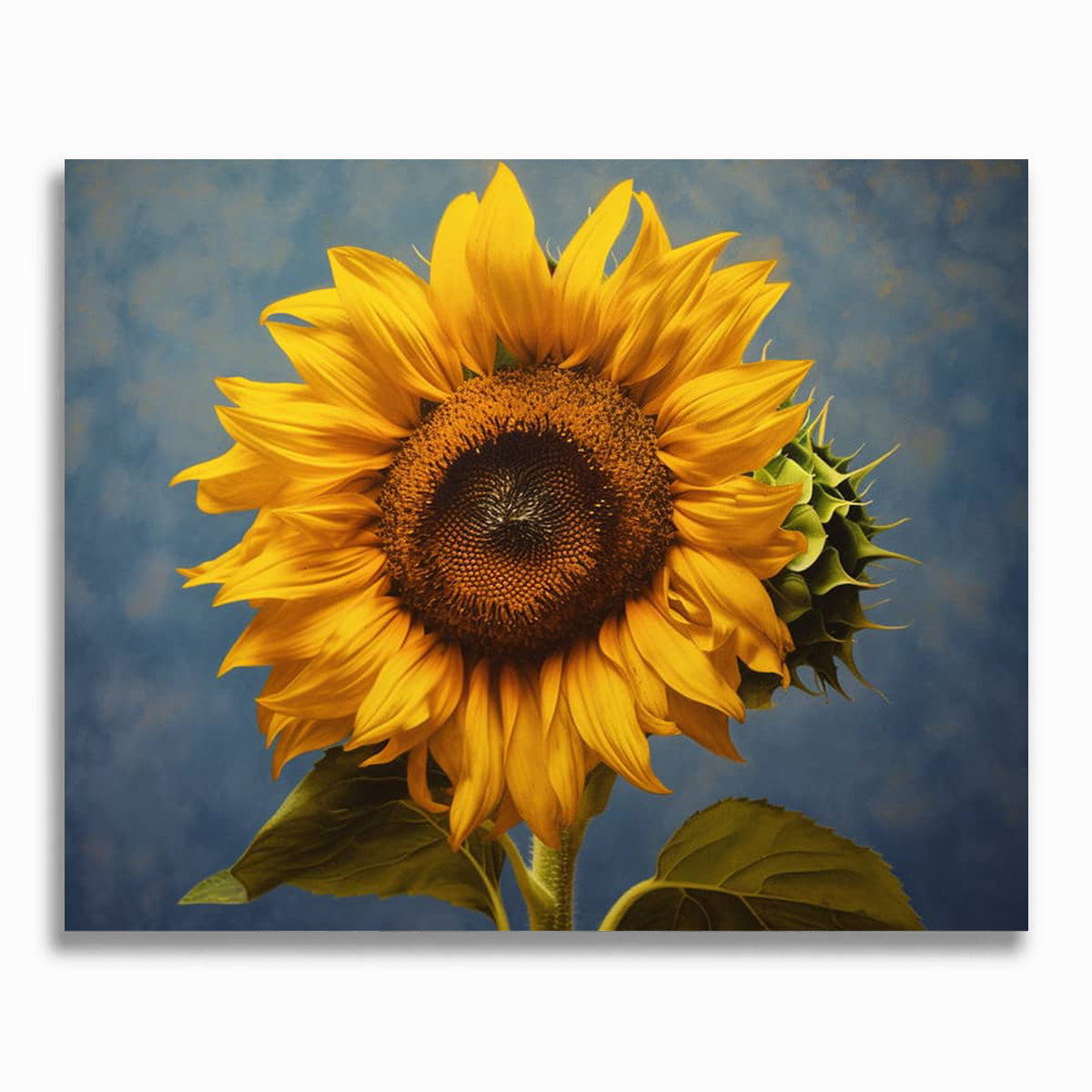 Sonnenblume, Mandala - Malen nach Zahlen