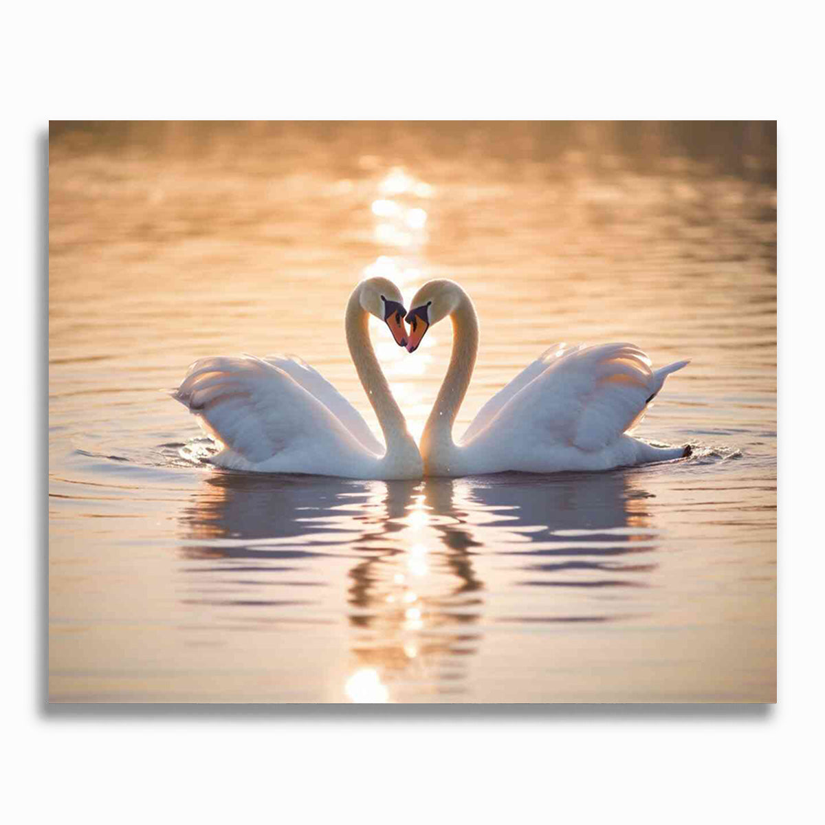 Malen nach Zahlen - Verborgene Zärtlichkeit im Abendlicht, Schwanenliebe