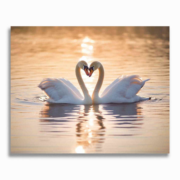 Malen nach Zahlen - Verborgene Zärtlichkeit im Abendlicht, Schwanenliebe