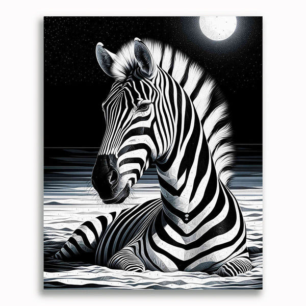 Zebra, Schwarz und Weiß – Malen nach Zahlen