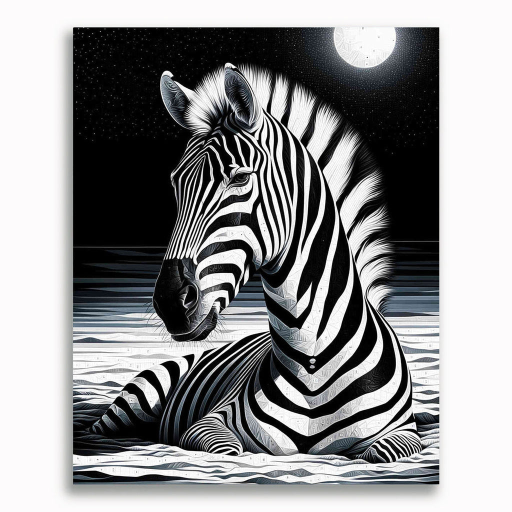 Zebra, Schwarz und Weiß – Malen nach Zahlen