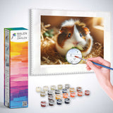 Malen nach Zahlen - Little sweet pig painting kit with hand painting a piglet on canvas, paint colors, and packaging in the background