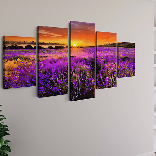 Malen nach Zahlen 5 teilig - Lavendelfeld in Violett, Sonnenuntergang - hochwertige Leinwand - multi5, neue_bilder
