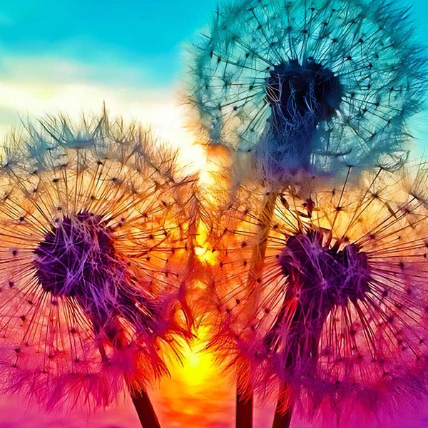 Malen nach Zahlen - Pusteblumen am Seeufer - hochwertige Leinwand - bestseller, blumen, neue_bilder, pusteblume, quadratisch, startbestseller