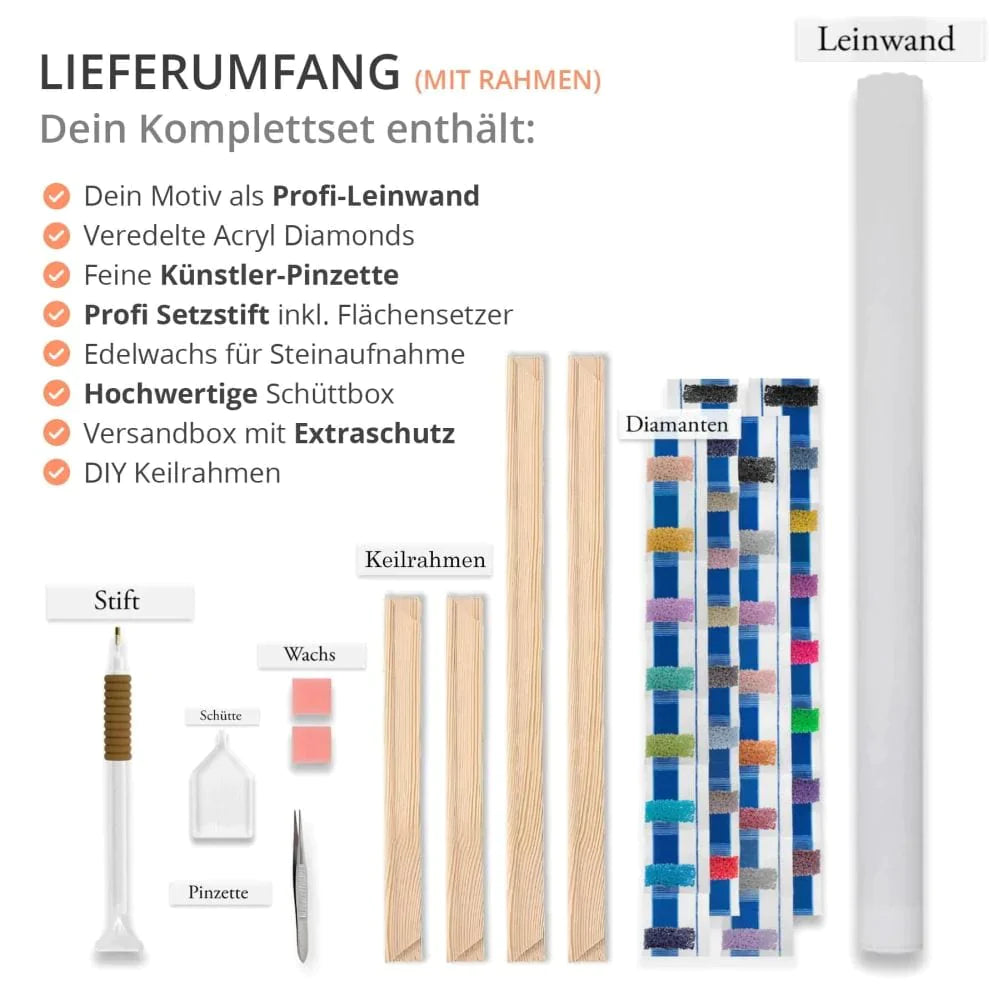 AB Diamond Painting Kit Components - Canvas, Acrylic Diamonds, Artist Tweezers, Setting Pen, Tray, Wax, Frame, Extra Protection