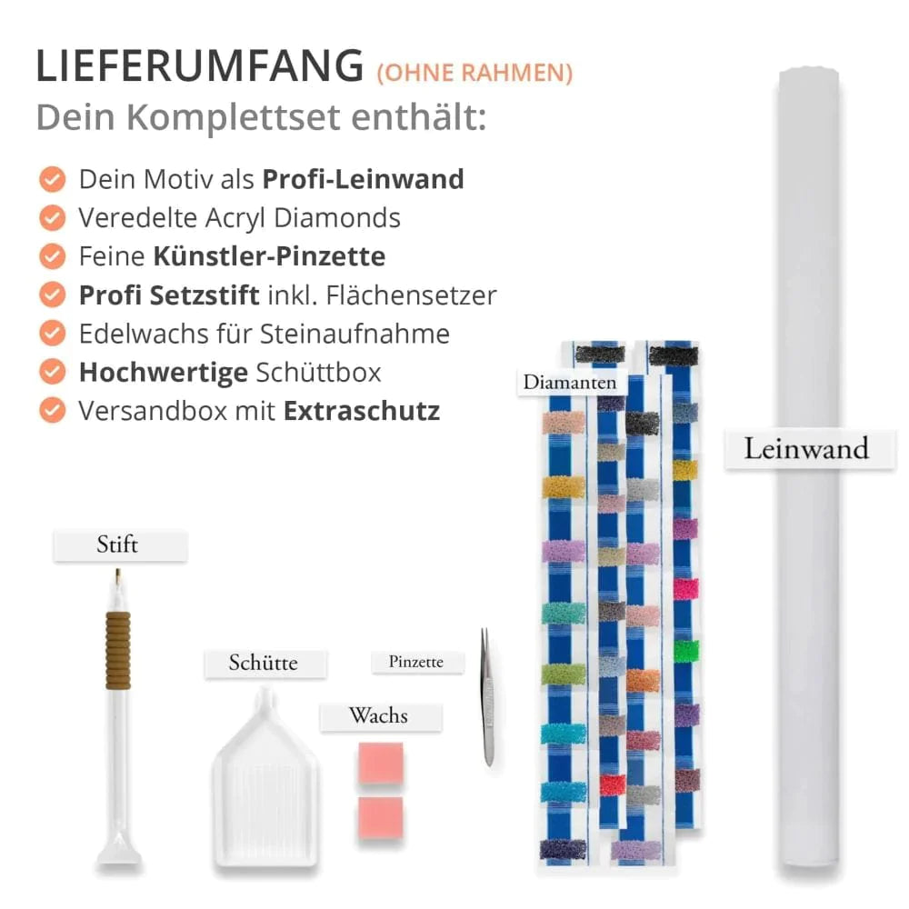 Lieferumfang des AB Diamond Painting Kits - Profi-Leinwand, Acryl Diamonds, Künstler-Pinzette, Setzstift, Wachs, Schüttbox, Schutz-Verpackung
