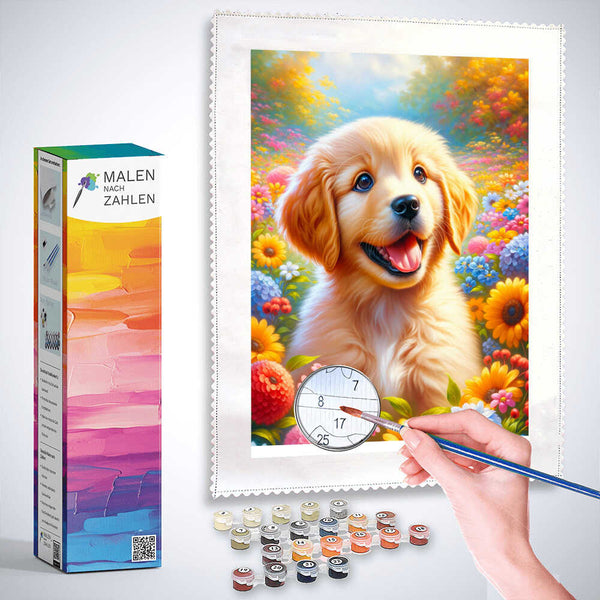 Malen nach Zahlen - Welpe, Goldenretriver