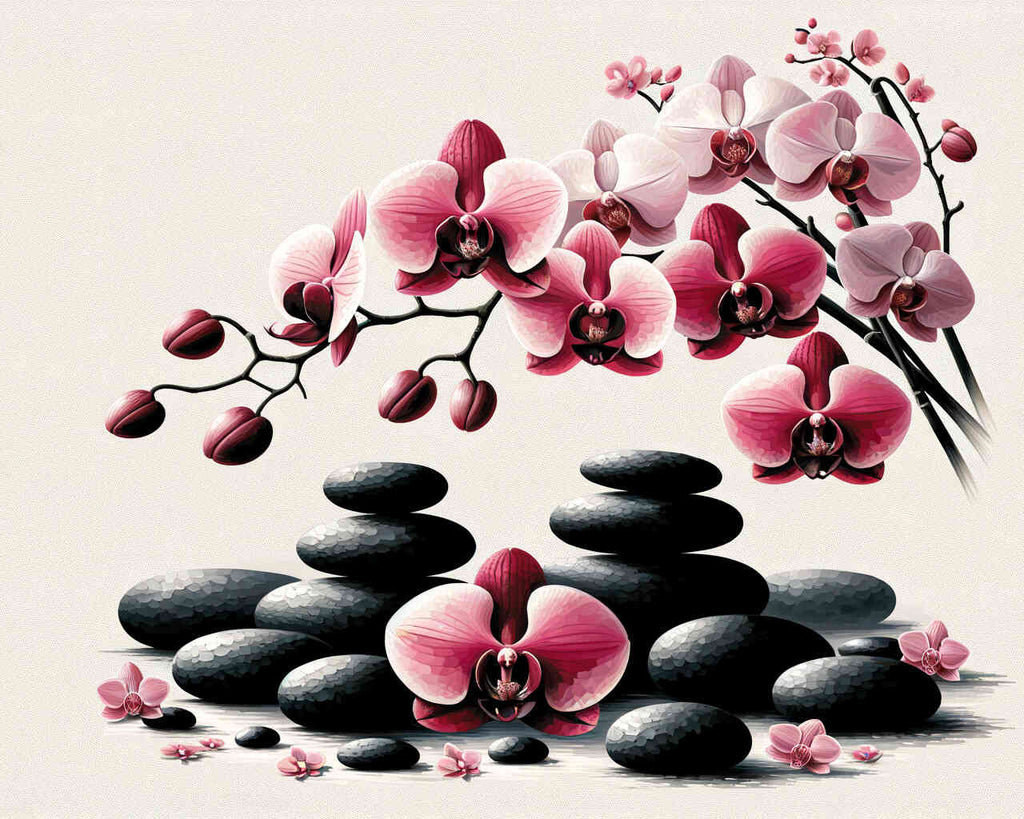 Malen nach Zahlen - Orchidee Schwarze Steine