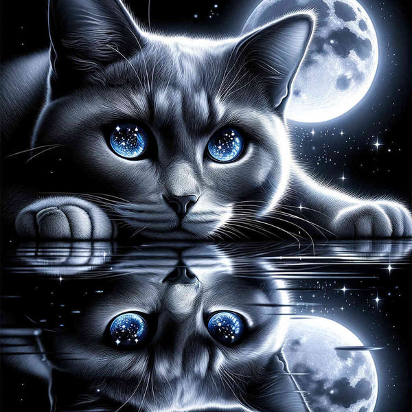 Malen nach Zahlen - Katze Spiegelbild