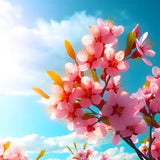 Diamond Painting Frühlingsträume Kit with vibrant pink blossoms against a blue sky