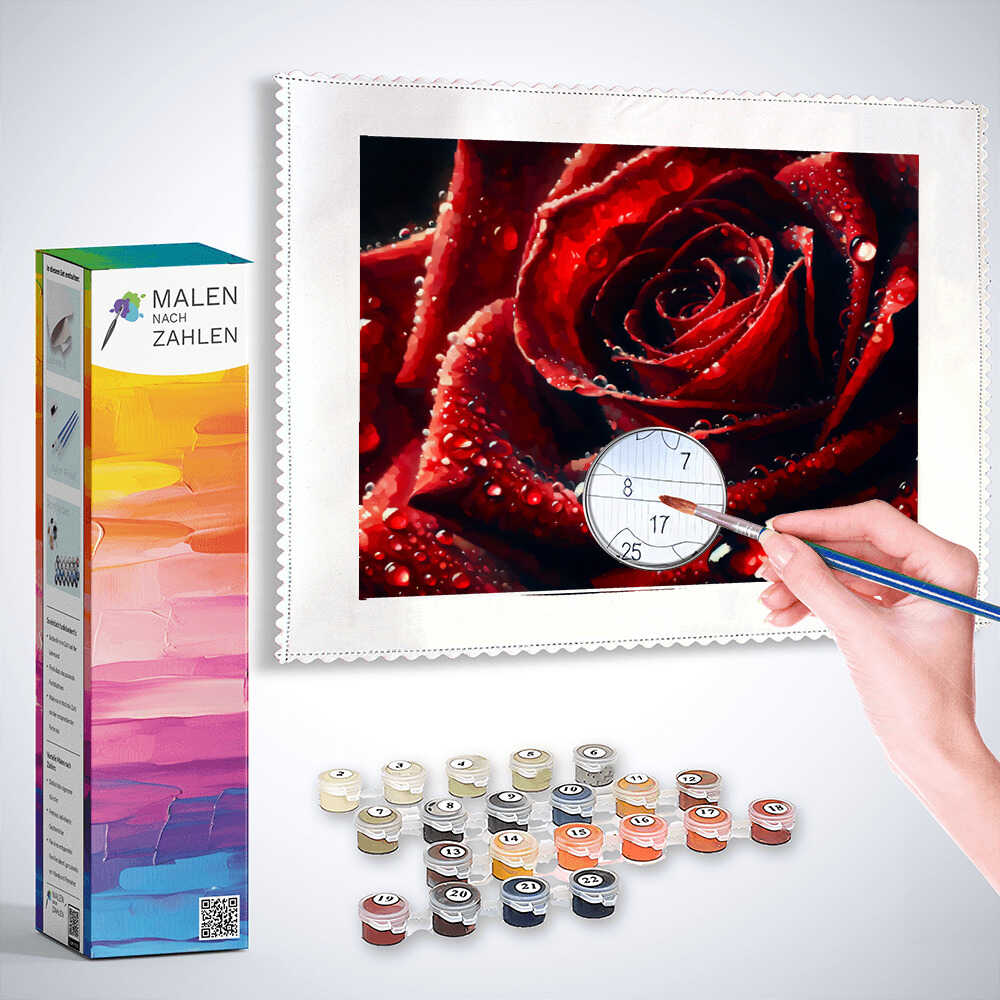 Malen nach Zahlen - Rote Rose Nahaufnahme