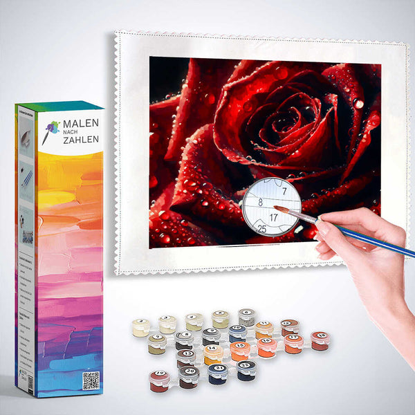 Malen nach Zahlen - Rote Rose Nahaufnahme