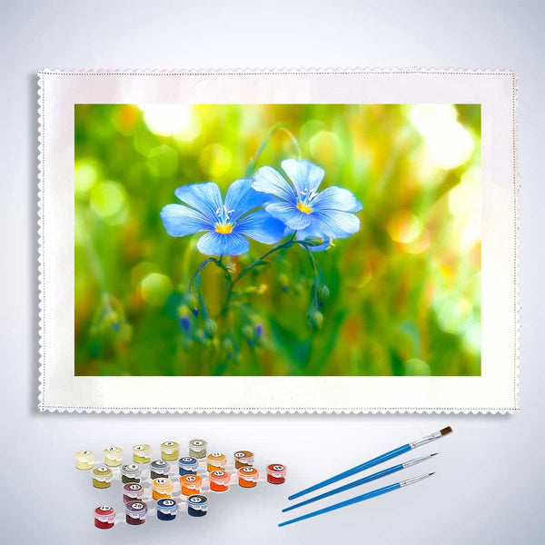 Painting by numbers kit featuring a pair of blue flowers on a meadow with paint pots and brushes included